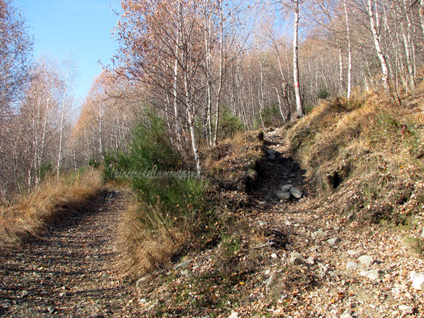 rifugio menaggio10