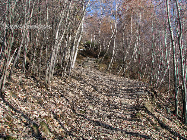 rifugio menaggio11