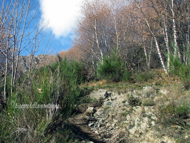 rifugio menaggio12