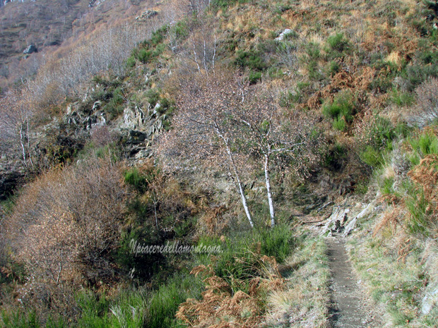 rifugio menaggio14