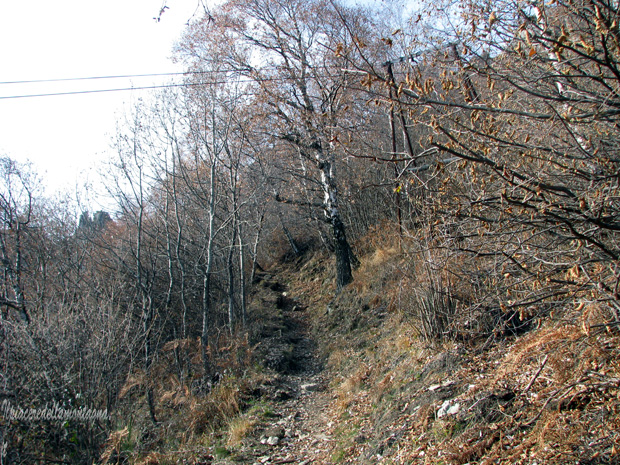 rifugio menaggio23