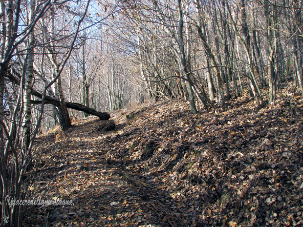 rifugio menaggio7