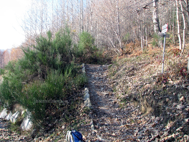 rifugio menaggio8