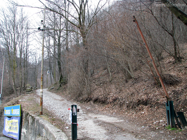 lecco