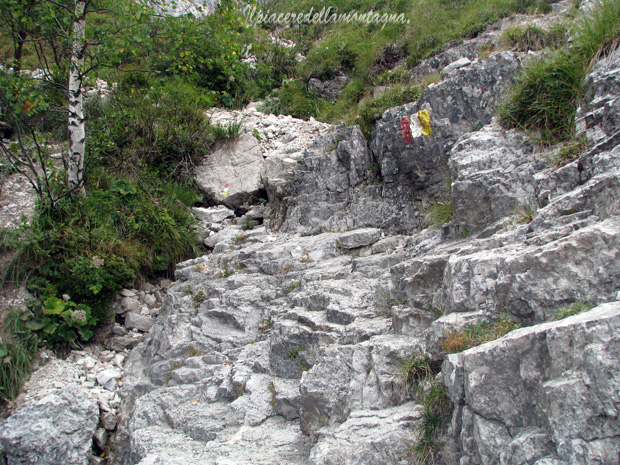 canalonebobbio6